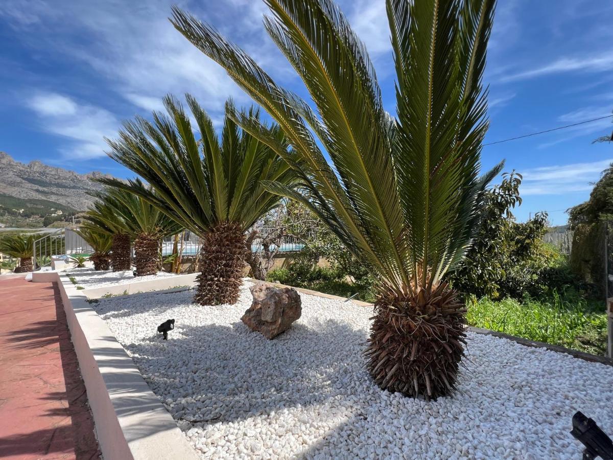 Casa Rural Altaret Callosa de Ensarriá 외부 사진