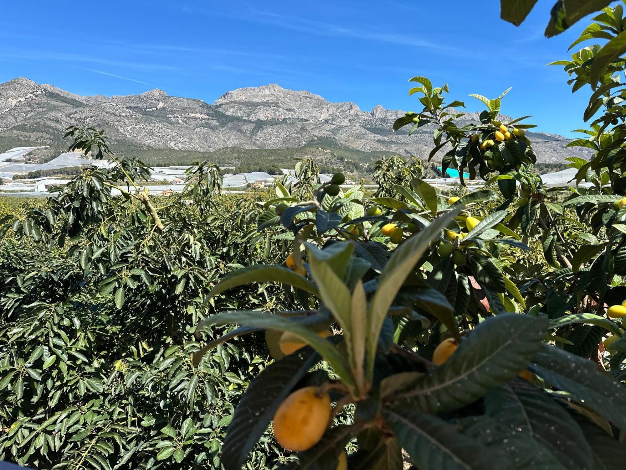 Casa Rural Altaret Callosa de Ensarriá 외부 사진